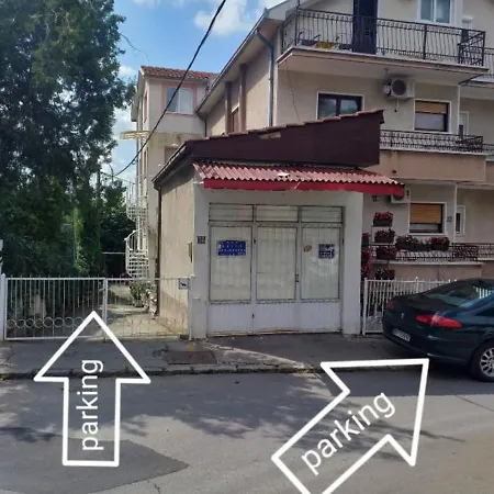 Gajic *