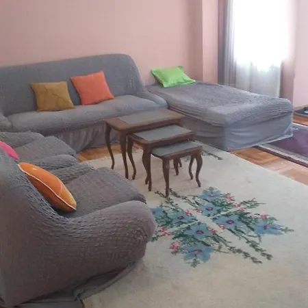 Apartment Gajic